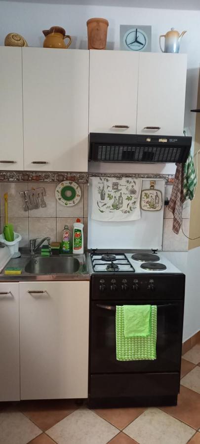 Apartmani Kunjasic Трстеник Экстерьер фото